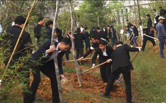 公司新精英參加集體植樹活動